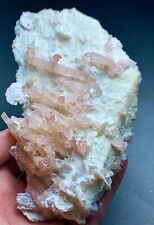 264 gm Top Quality Pink Tourmaline Crystals Bunch Specimen from Afghanistan picture