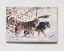Wolves in Snow Refrigerator Magnet Photo Metal Novelty  picture