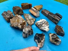 Texas Petrified Wood Lot Highly Agatized Palm & Oak Cabochon Jewelry Material picture