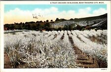Traverse City MI-Michigan, Fruit Orchard In Blossom, Vintage Postcard picture