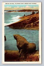 Tillamook Coast OR-Oregon, Sea Lion Bull, Oregon Coast Highway, Vintage Postcard picture
