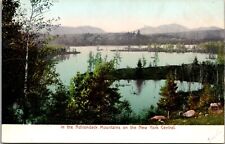 In the Adirondack Mountains on the New York Central Postcard picture