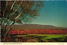 Vintage Postcard 4x6- Big Pocono, Camelback Mountain, Tannersville, PA picture