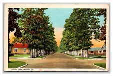 Postcard Monroe Louisiana Lovers Lane picture