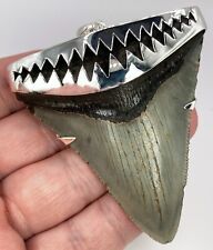 Large Fossil Meg Shark Tooth Pendant – Megalodon Tooth with Sterling Silver Cap picture