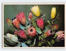 Postcard An arrangement of Proteas picture