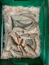 lot of dinosaur fossil cast replicas picture