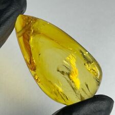 NATURAL MEXICAN PERFORATED PEAR AMBER CABOCHON 32,5 Cts/6,5 grams. REAL AMBER picture
