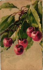 C. Klein, Artist Signed, Fruits, Cherry, Vintage Postcard picture
