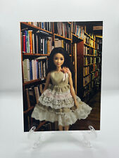 Brand New Barbie Fashionista at the Library Art Print/Postcard picture