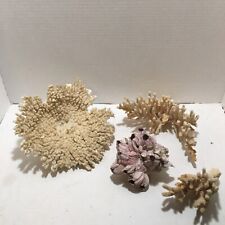 Lot 4 Vintage Coral Pieces picture