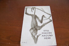 Rare Vintage Antique Postcard 1913 Postmarked Monkey Series Hanging Around Here picture