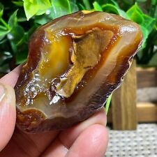Top Bonsai Suiseki-Natural Gobi Agate Eyes Stone-Rare Stunning Viewing 78g A235 picture