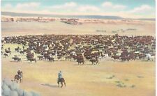Wyoming Cattle Roundup 1950 MT  picture
