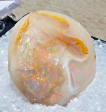 Virgin valley opal specimen in display box w/label 3.62 grams picture