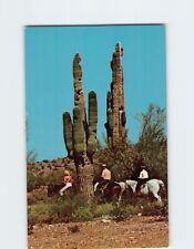 Postcard The Arizona Biltmore in Sunny Phoenix USA picture