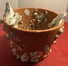 Oyster Shell Barnacle Encrusted Terracotta Pot Beautiful Natural Gorgeous Unique picture