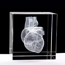 3D Human Heart Anatomical Model Statue Paperweight(Laser Etched) in Crystal Glas picture