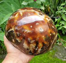 1225G EXTRA BIG NATURAL STALAGMITE AMBER PARTLY POLISHED,REDDISH YELLOWISH BROWN picture