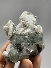 RARE 6.4oz DT Himalayan LEMURIAN Chlorite Quartz Cluster Samadhi Superb L1 picture