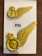 Freefall Parachute Instructor (Gold) qualification Brevets. picture