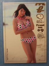 Juicy Honey 2009 Premium 09 Megu Fujiura #35 Card picture