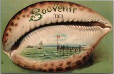 c1910s Seashell Border Embossed Postcard 
