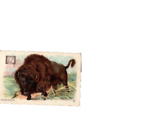 1915 Buffalo Card Arm & Hammer Soda ANIMAL Series CHURCH & DWIGHT No 6 picture