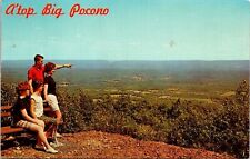Big Pocono Camelback Mountain State Park Tannersville Pennsylvania UNP Postcard picture