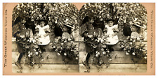 Girls in a Flower Tree, ca.1900, Stereo Vintage Stereo Print, Print  picture