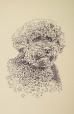 Portuguese Water Dog Art Portrait Print 61 Kline adds dog name free WORD DRAWING picture