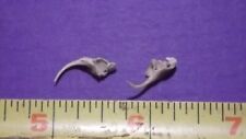 2 Venomous SNAKE FANGS, Taxidermy Collectible Reptile Venom *FREE SHIPPING* #10 picture