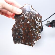 78g Sericho meteorite pallastie meteorite slice from Kenya  A1530 picture
