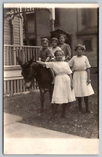 Postcard RPPC c1915 5 Children with Donkey Nice Condition A13 picture