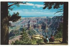 NORTH RIM of The GRAND CANYON of the Colorado, Hal RImel c1950's Unused Postcard picture