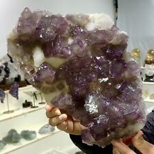 6.06LB Natural purple cubic fluorite mineral crystal sample/China picture