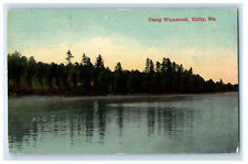 1913 Lake View Camp Winnecook Unity, Maine ME Antique Posted Postcard picture