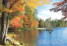 Postcard NY Adirondack Park Wilderness Wildlife Forest Streams Wetlands Mountain picture