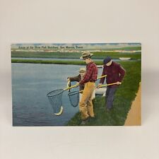 Vintage Postcard Scene At The State Fish Hatchery, San Marcos Texas picture