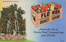 Orlando FL Florida Orange Citrus Grove Titusville Cancel 1946 Vtg Postcard D65 picture