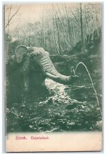 c1905 Zurich Elefantebach Elephant River Forest Rocks Vintage Antique Postcard picture
