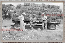 50s HUNTLEY MCHENRY KANE ILLINOIS TRUCK MAN HAY WORK VINTAGE USA Photograph 9317 picture