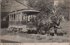 Horse Car Trolley Gibbsboro, New Jersey c1910s? Postcard picture