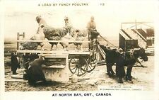 Postcard RPPC Canada Ontario North Bay Chicken Exaggeration 1946 23-7804 picture