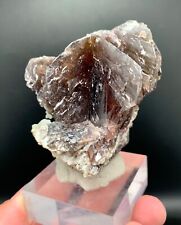 203 Gram Amazing Good Luster Twin Connected Axinite Specimen From Skardu Pak. picture