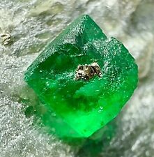 96 Ct Wow Transparent Top Green Swat Emerald With Pyrite Crystal On Matrix @PAK picture