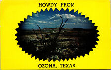 Vtg 1960s Howdy from Ozona Texas TX Chrome Postcard picture