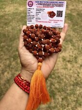 LAB CERTIFIED 5 Mukhi RUDRAKSHA Rudraksh Mala ROSARY 108+1 Bead Prayer Beads 8mm picture