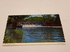 Vintage postcard of Hamlin Dam, Ludington, MI picture