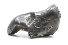 Sikhote-Alin Oriented Iron Meteorite Individual: 9.8g picture